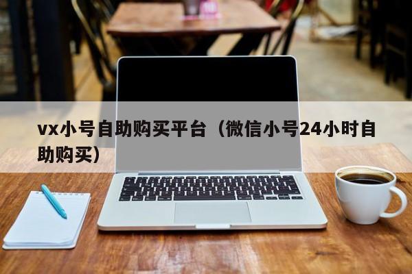 vx小号自助购买平台（微信小号24小时自助购买）
