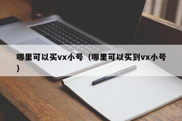 哪里可以买vx小号（哪里可以买到vx小号）