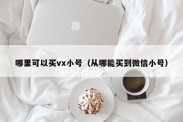 哪里可以买vx小号（从哪能买到微信小号）