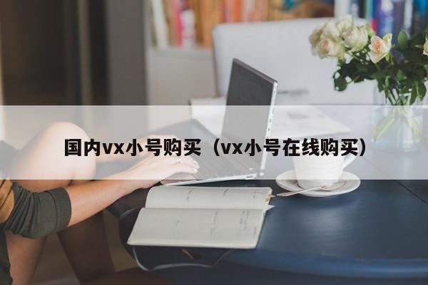 国内vx小号购买（vx小号在线购买）