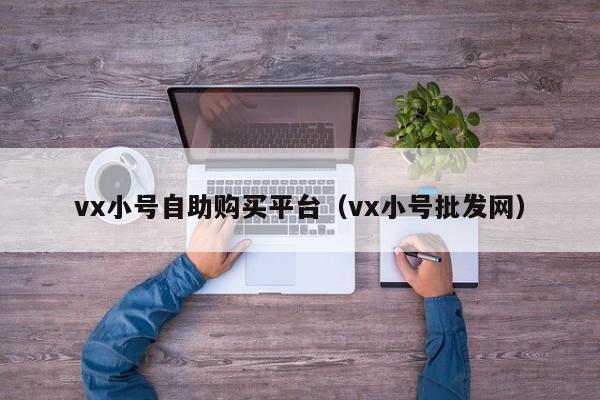 vx小号自助购买平台（vx小号批发网）