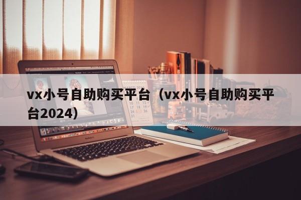 vx小号自助购买平台（vx小号自助购买平台2024）