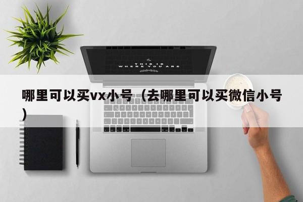 哪里可以买vx小号（去哪里可以买微信小号）