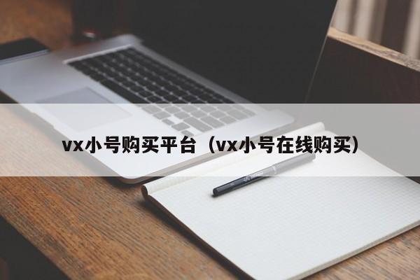vx小号购买平台（vx小号在线购买）