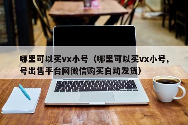 哪里可以买vx小号（哪里可以买vx小号,号出售平台网微信购买自动发货）