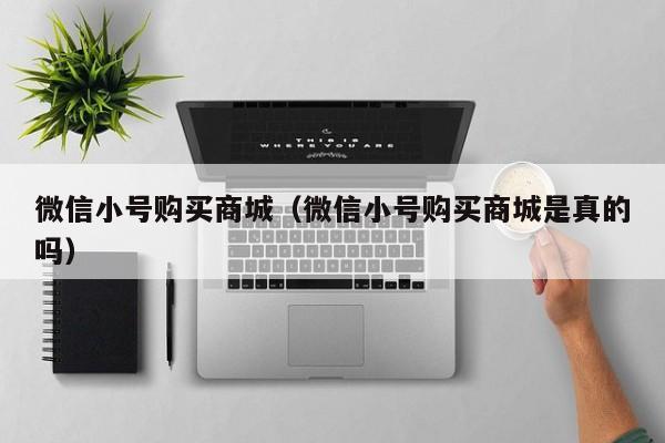 微信小号购买商城（微信小号购买商城是真的吗）