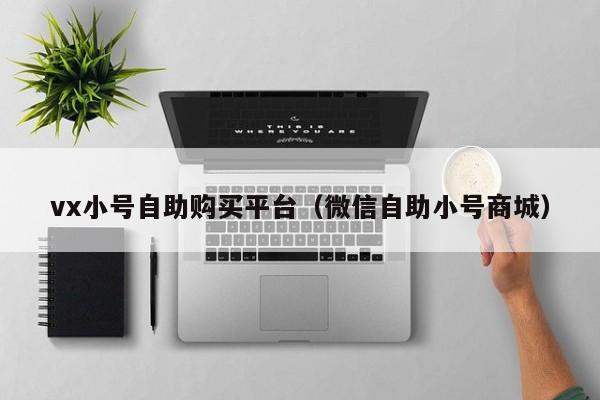 vx小号自助购买平台（微信自助小号商城）