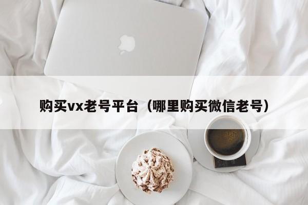 购买vx老号平台（哪里购买微信老号）