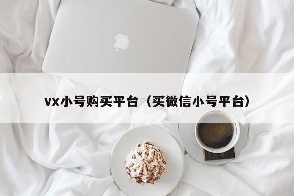 vx小号购买平台（买微信小号平台）