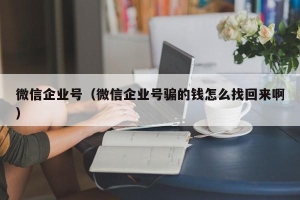 微信企业号（微信企业号骗的钱怎么找回来啊）