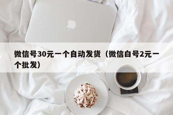 微信号30元一个自动发货（微信白号2元一个批发）