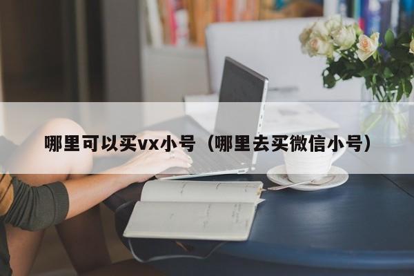 哪里可以买vx小号（哪里去买微信小号）