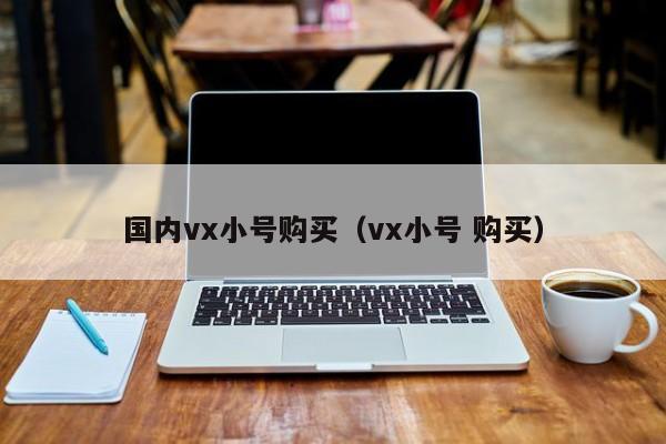 国内vx小号购买（vx小号 购买）