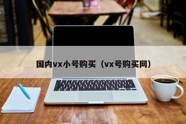 国内vx小号购买（vx号购买网）