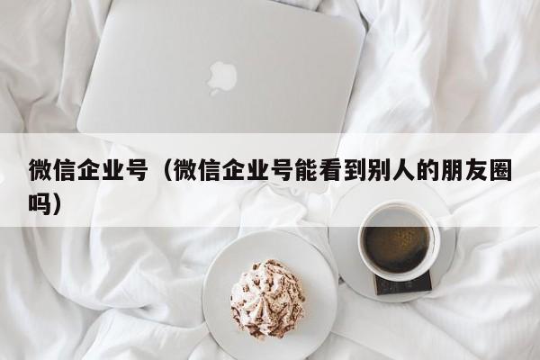 微信企业号（微信企业号能看到别人的朋友圈吗）